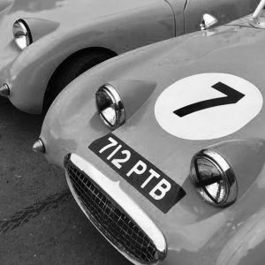 Frogeye Sprite